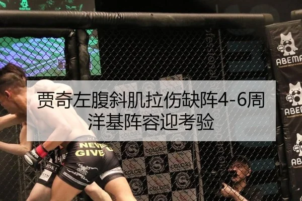 贾奇左腹斜肌拉伤缺阵4-6周 洋基阵容迎考验