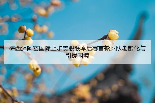 mei-xi-mai-a-mi-guo-ji-zhi-bu-mei-zhi-lian-ji-hou-sai-shou-lun-qiu-dui-lao-ling-hua-yu-yin-yuan-kun-jing-2-196.jpg