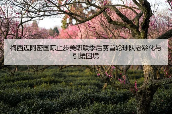 梅西迈阿密国际止步美职联季后赛首轮球队老龄化与引援困境